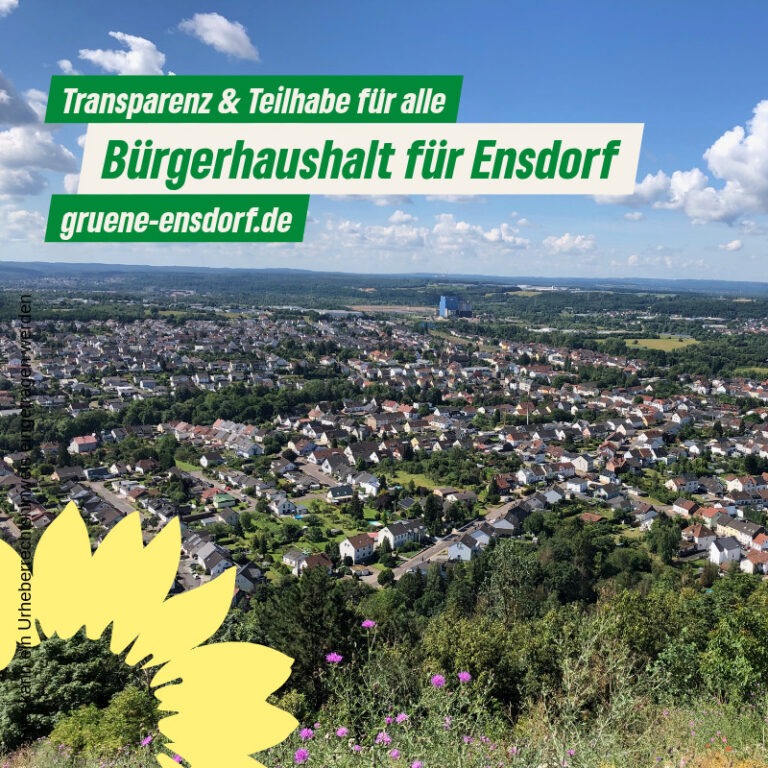 Bürger:innenhaushalt: Transparenz und Teilhabe für alle