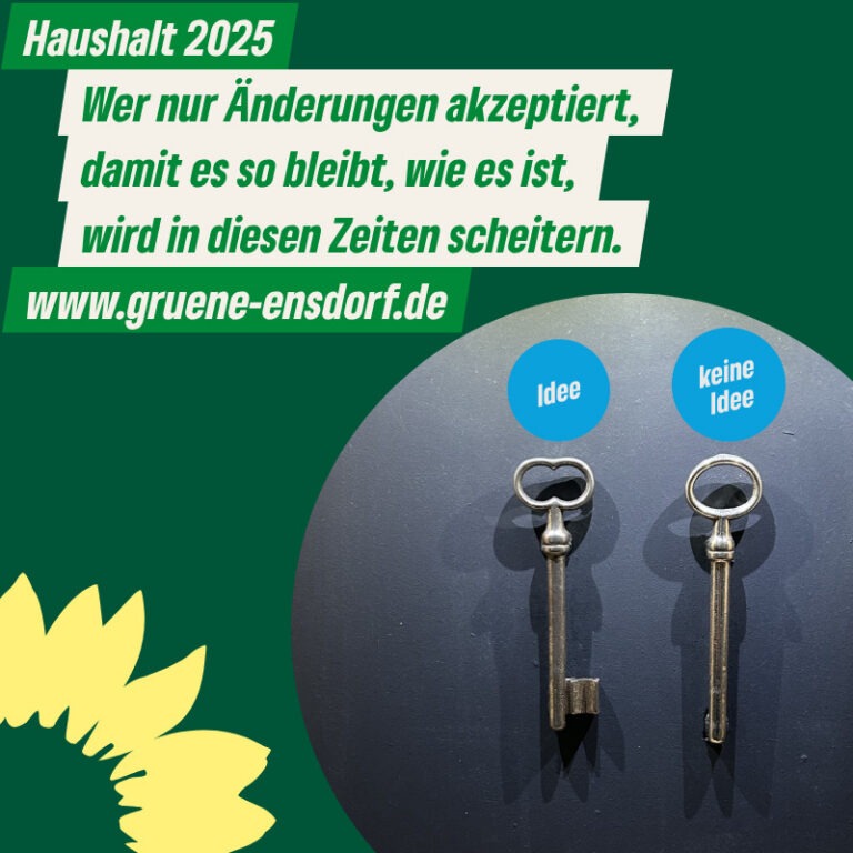 Haushaltsrede der Fraktion Bündnis 90/Die Grünen Die Linke