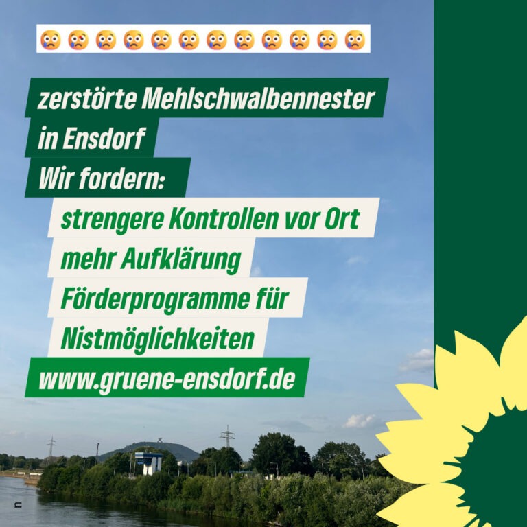 Ensdorfer Grüne entsetzt über zerstörte Mehlschwalben-Nester